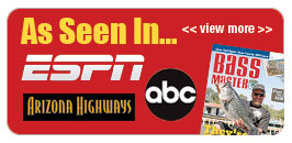 espn feature
