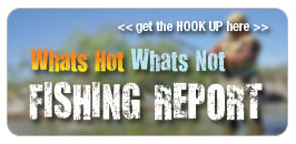 arizona fishing report