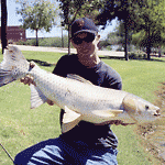 Fishing Carp and Suckers in Arizona