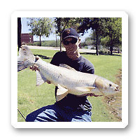 carp