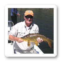 carp