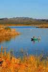 Fishing Alamo Lake in Arizona
